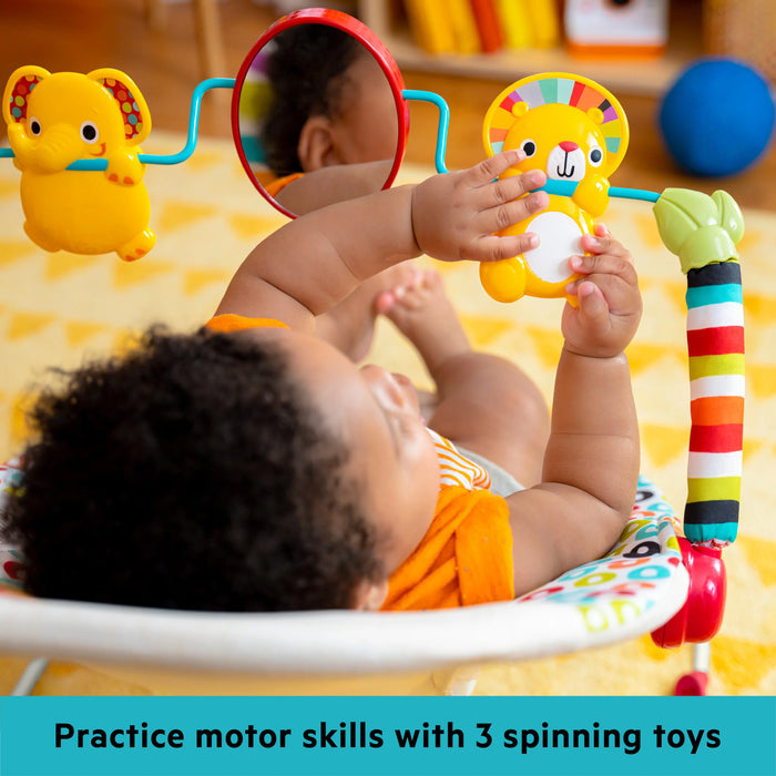Bright Starts Bouncer - Playful Pinwheels