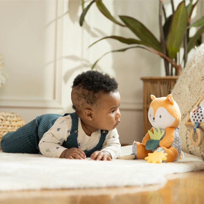 Ingenuity Calm Springs Plush Activity Pal Kitt