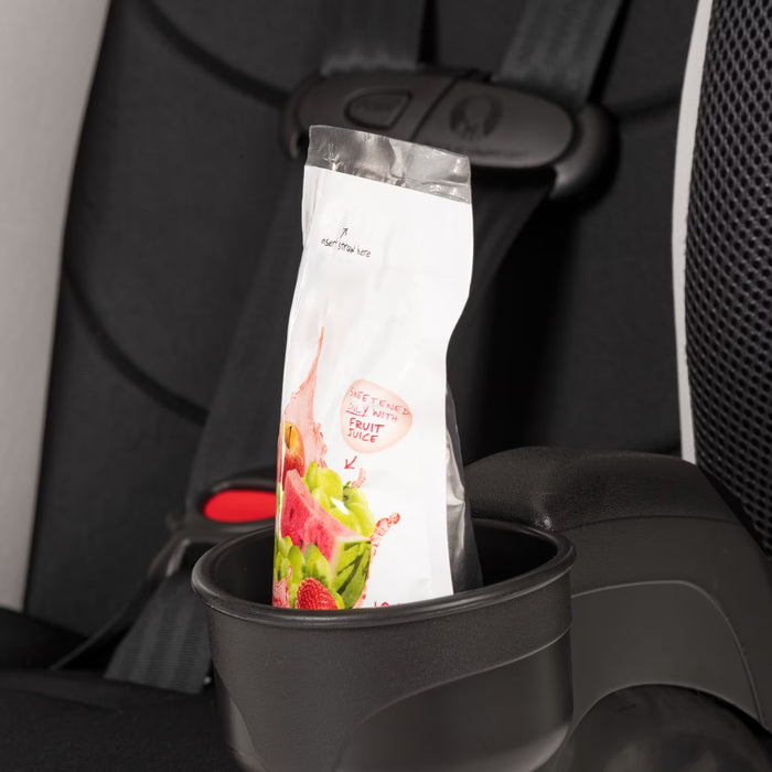Evenflo Chase Plus 2-in-1 Booster Car Seat (Huron Black)