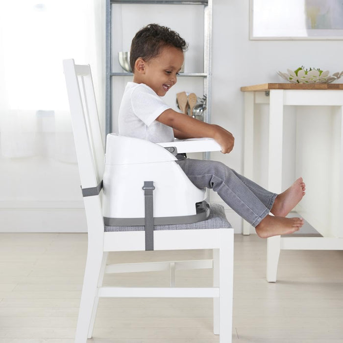 Ingenuity Baby Base 2-in-1™ Seat - Rose (16726)