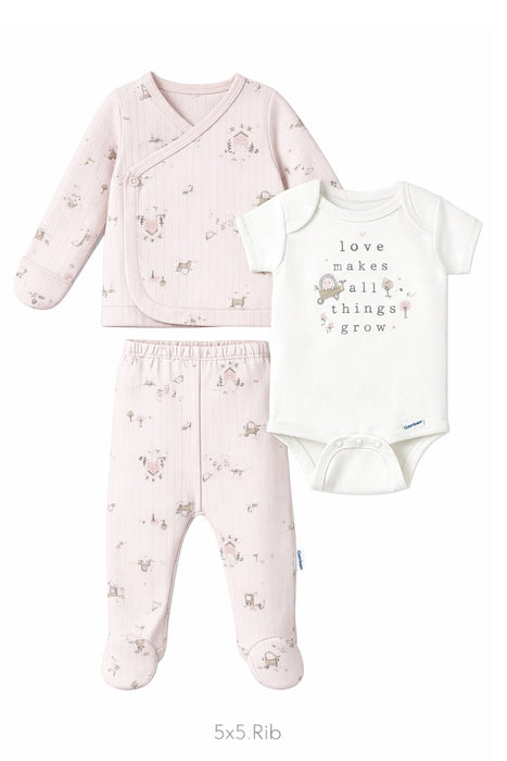 Gerber Baby Girls' Take-Me-Home 3 piece Set - Pink Garden, 6-9 Months (646515 G01 NB4 6/9) - Preggy Plus