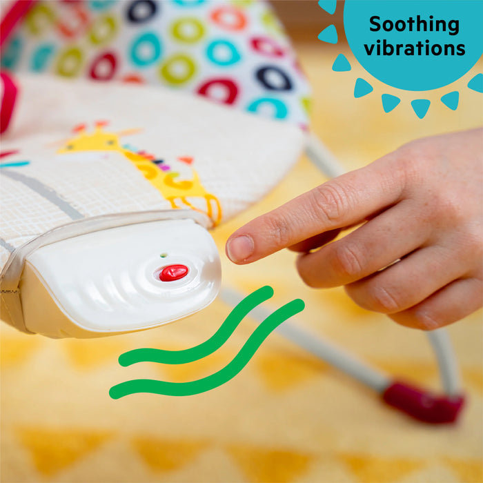 Bright Starts Bouncer - Playful Pinwheels