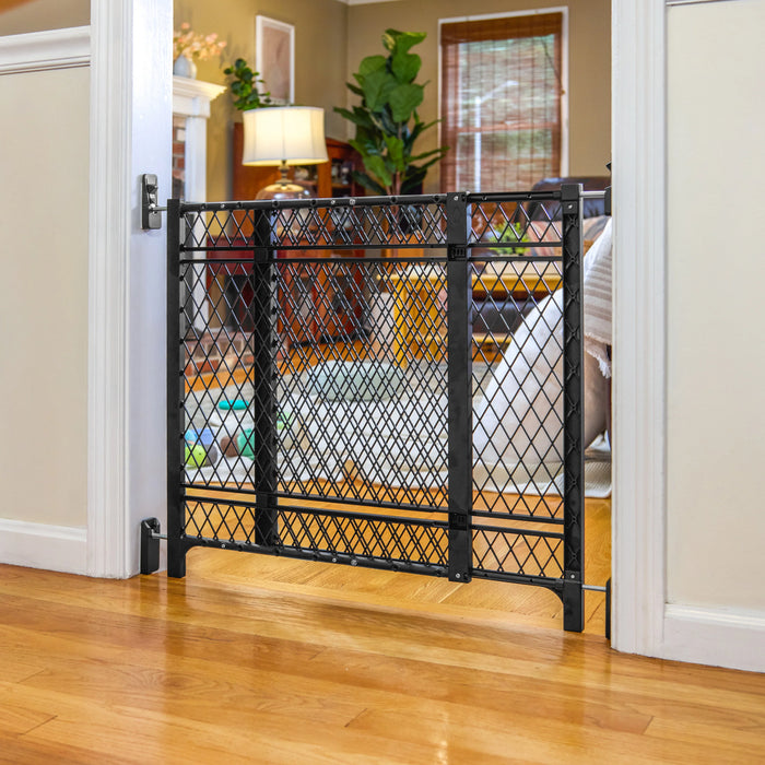 Ingenuity The Doorway 42W Series Baby and Dog Gate