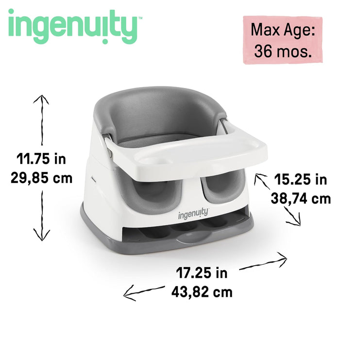 Ingenuity Baby Base 2-in-1™ Seat - Slate (11576)