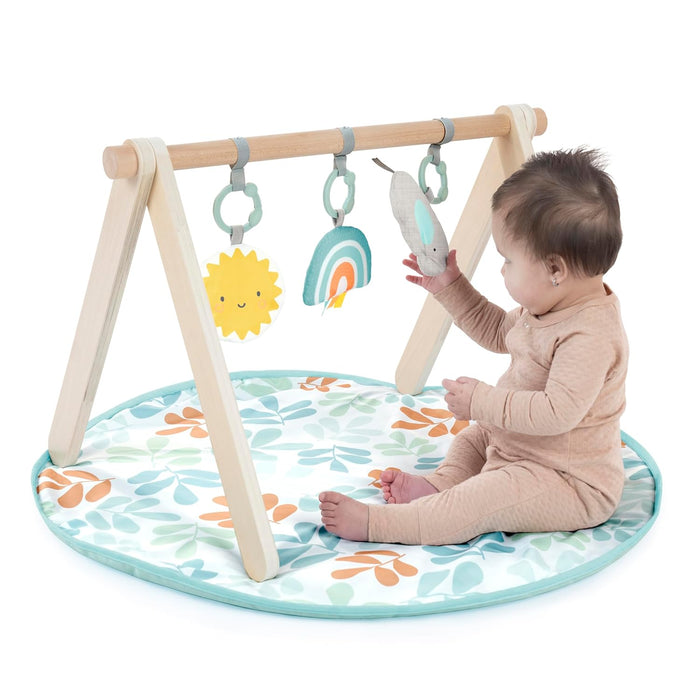 Ingenuity: ity Sun Valley Wooden Toy Arch & Play Mat