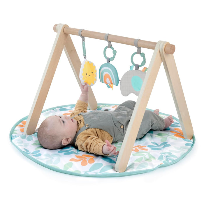 Ingenuity: ity Sun Valley Wooden Toy Arch & Play Mat