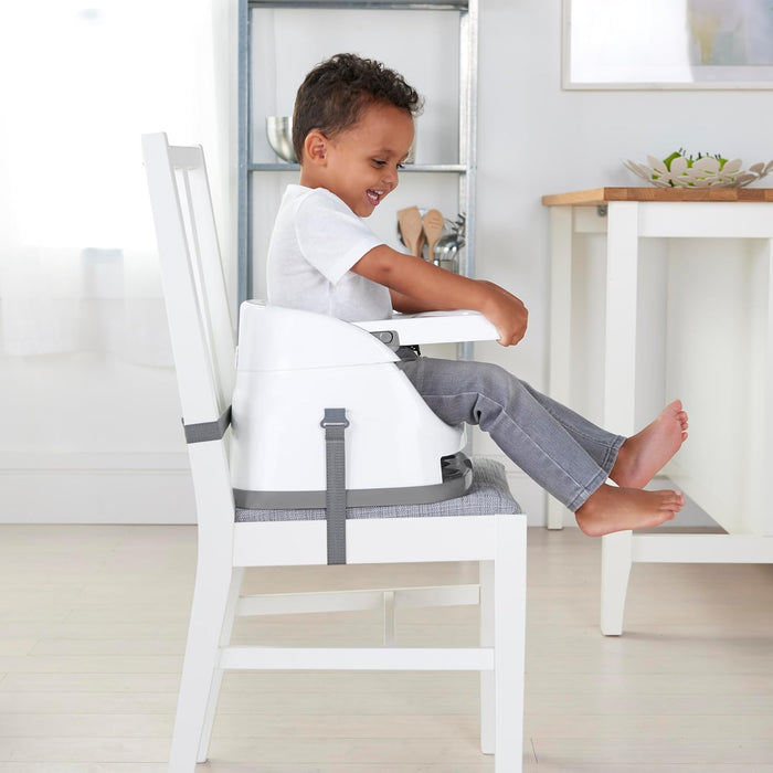 Ingenuity Baby Base 2-in-1™ Seat - Night Sky