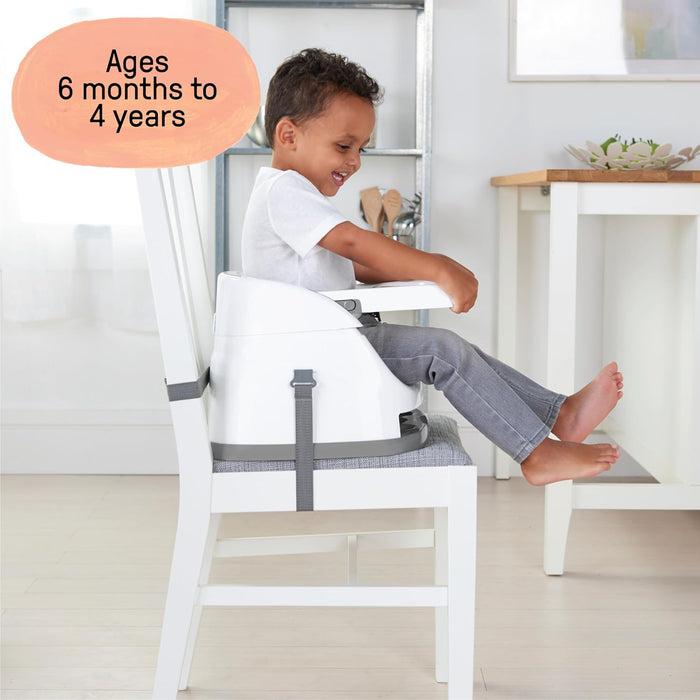 Ingenuity Baby Base 2-in-1™ Seat - Slate (11576)