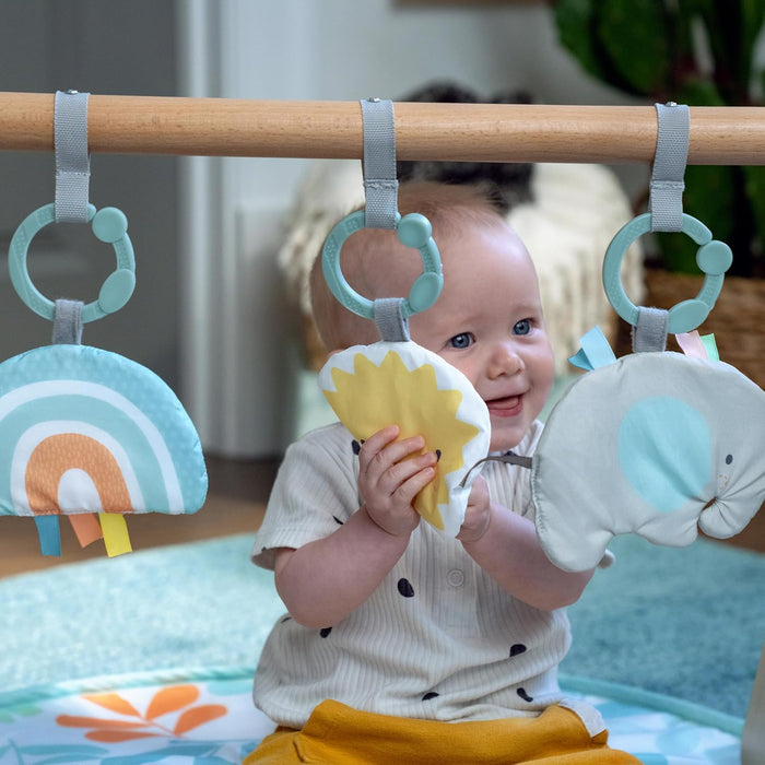 Ingenuity: ity Sun Valley Wooden Toy Arch & Play Mat