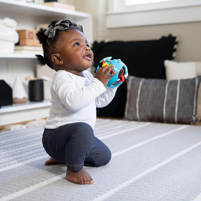 Baby Einstein Rattle & Sense Sensory Ball
