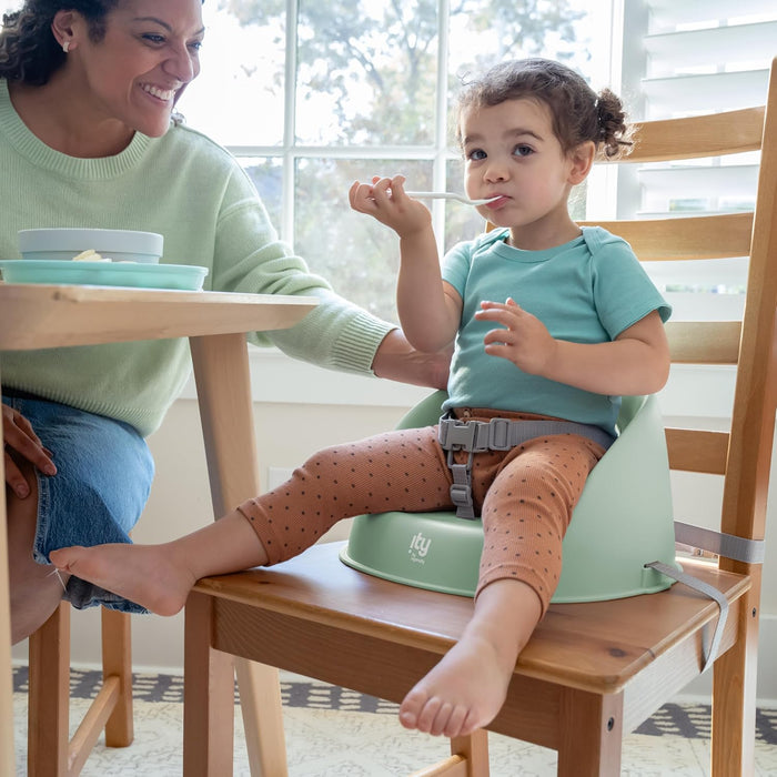 Ingenuity My Spot Easy-Clean Baby Booster Seat Feeding Chair - Green