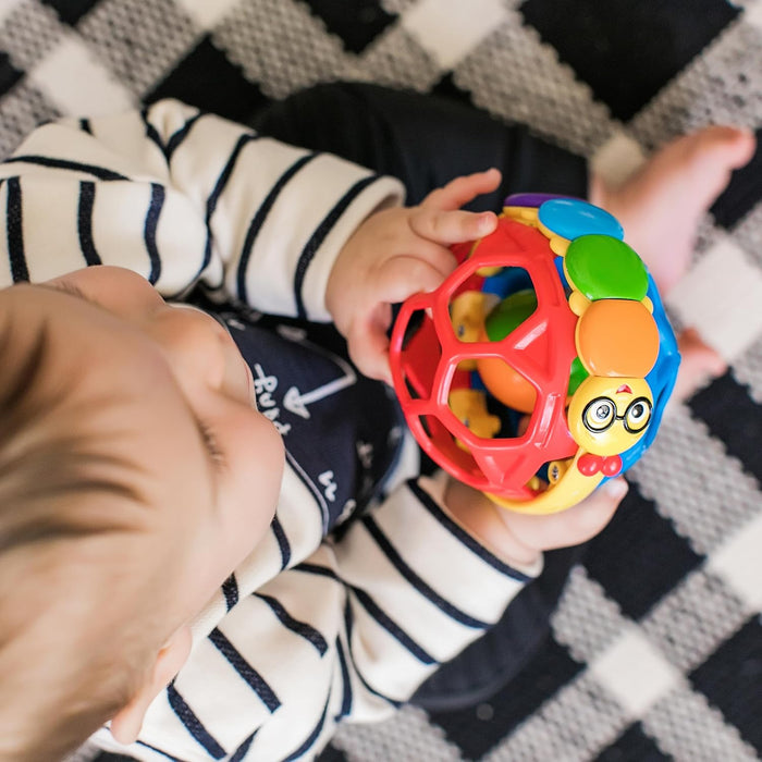 Baby Einstein Cal Bendy Ball Rattle Toy