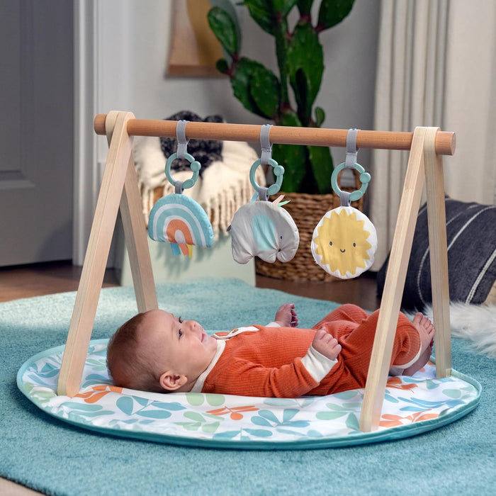 Ingenuity: ity Sun Valley Wooden Toy Arch & Play Mat