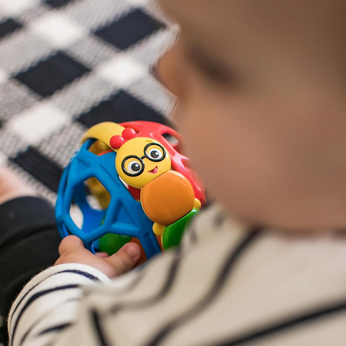 Baby Einstein Cal Bendy Ball Rattle Toy