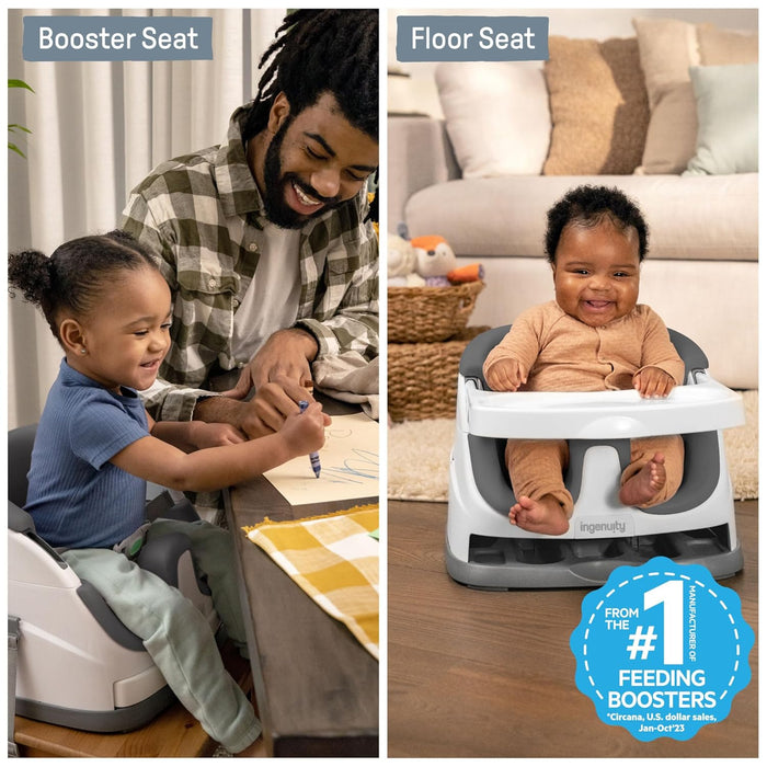 Ingenuity Baby Base 2-in-1™ Seat - Slate (11576)