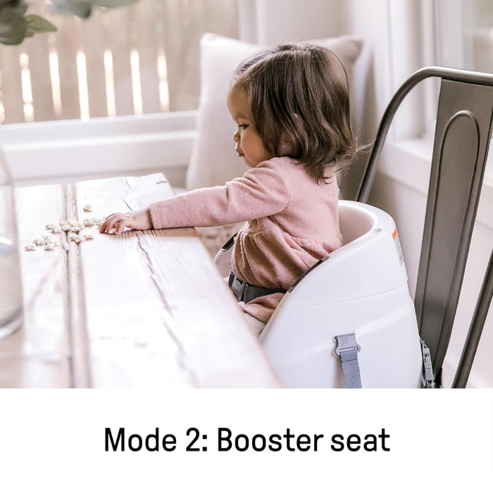 Ingenuity Baby Base 2-in-1™ Seat - Slate (11576)