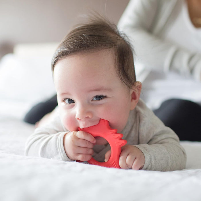 Dr. Brown's Flexees Friends Orange Fox Teether, Soft 100% Silicone, BPA Free