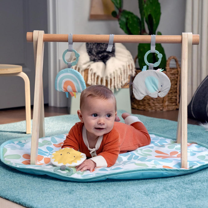 Ingenuity: ity Sun Valley Wooden Toy Arch & Play Mat