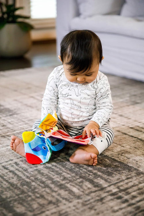 Baby Einstein Curious Explorers Teether Book Take-Along Toy