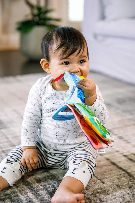 Baby Einstein Curious Explorers Teether Book Take-Along Toy