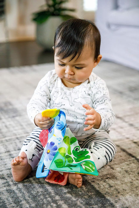 Baby Einstein Curious Explorers Teether Book Take-Along Toy