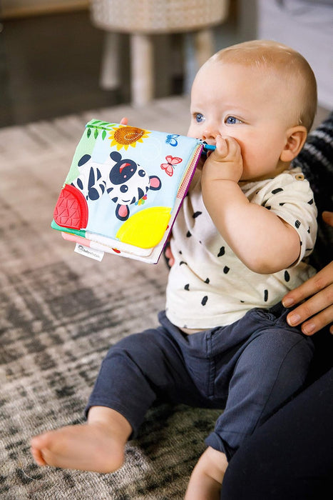 Baby Einstein Curious Explorers Teether Book Take-Along Toy