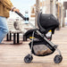 Evenflo Reversi Lightweight Reversible Stroller - Altair Black - Preggy Plus