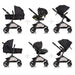 Evenflo Pivot Modular Travel System with LiteMax Infant Car Seat - Casual Gray - Preggy Plus
