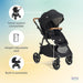 Joie Ginger™ Height-Adjustable Pramette Stroller - Preggy Plus