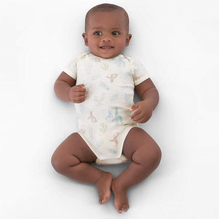 Gerber 3-Pack Baby Boys Desert Cactus Short Sleeve Bodysuits, 0 - 3 Months (1374431DA B01 0/3) - Preggy Plus