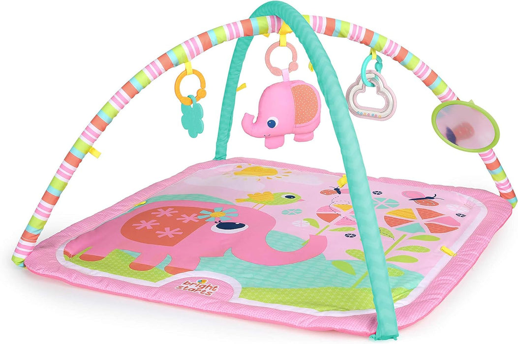 Bright Starts Fanciful Flowers Activity Gym and Play Mat - Preggy Plus