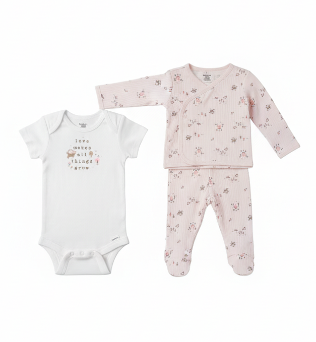 Gerber Baby Girls' Take-Me-Home 3 piece Set - Pink Garden, 6-9 Months (646515 G01 NB4 6/9)