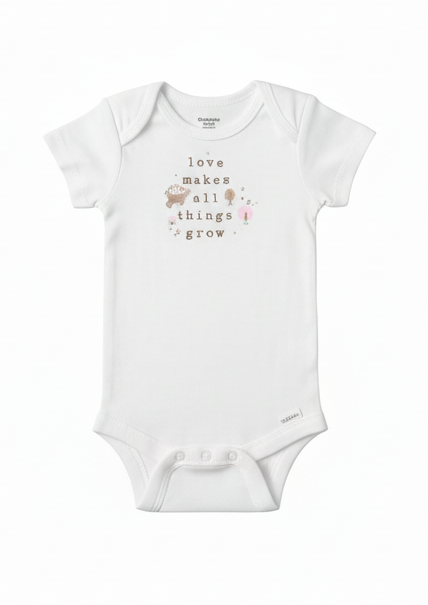 Gerber Baby Girls' Take-Me-Home 3 piece Set - Pink Garden, 6-9 Months (646515 G01 NB4 6/9)