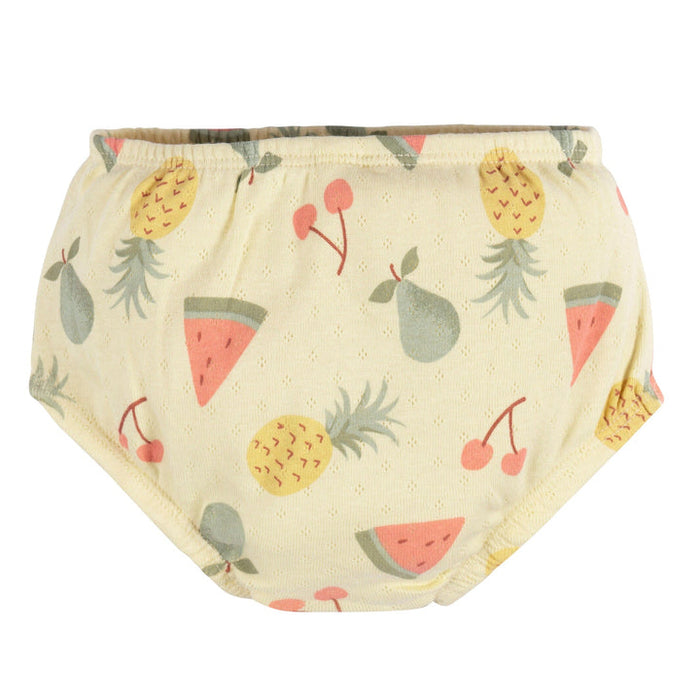 Gerber 2-Piece Baby Girls Fruit Dress & Diaper Cover Set, 3-6 Months (433397 G01 NB2 3/6)