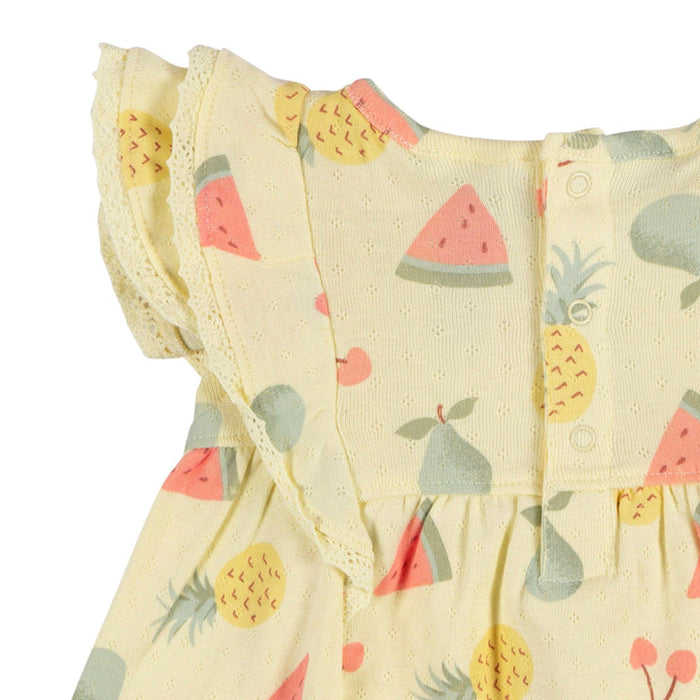 Gerber 2-Piece Baby Girls Fruit Dress & Diaper Cover Set, 6-9 Months (433397 G01 NB2 6/9)