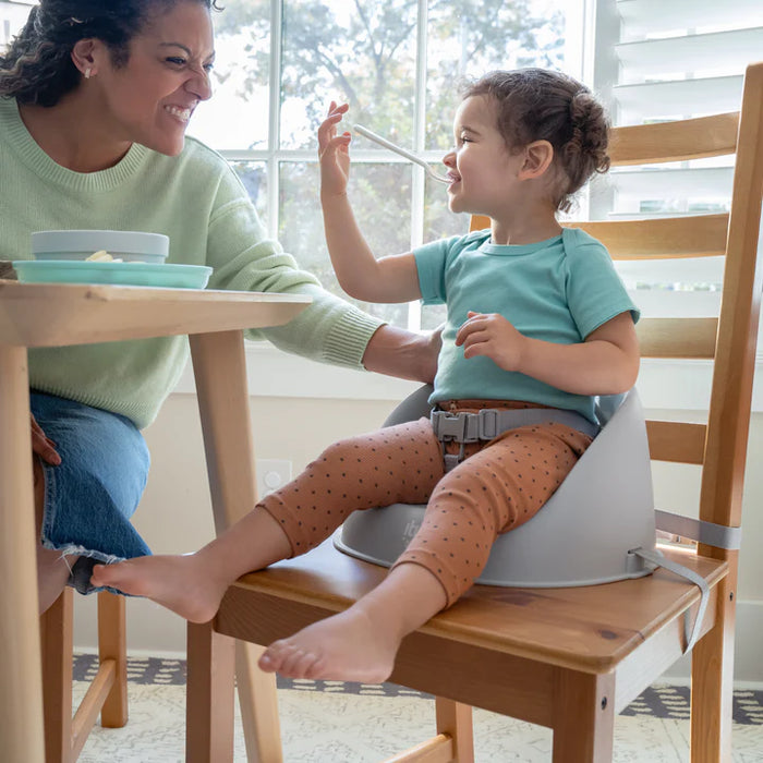 Ingenuity My Spot Easy-Clean Baby Booster Seat Feeding Chair - Grey