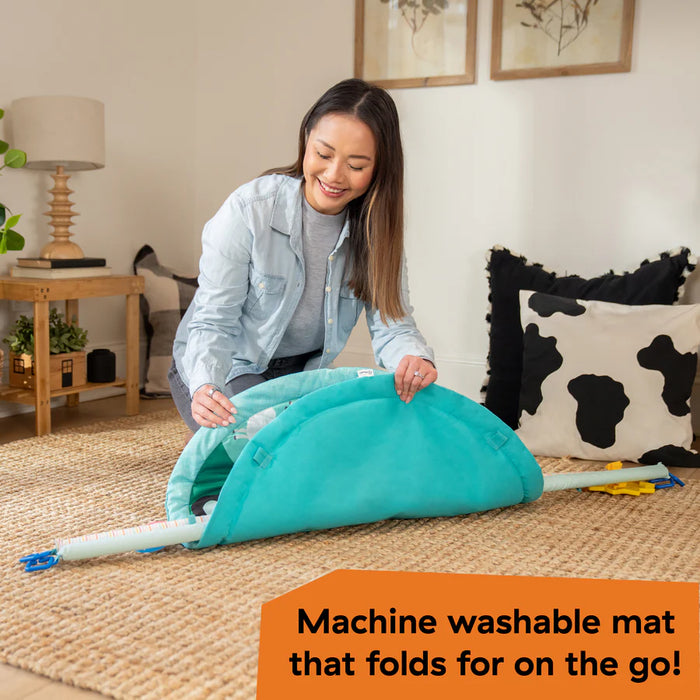 Baby Einstein Farm Explorers Happy Harvest Touch & Feel Activity Gym