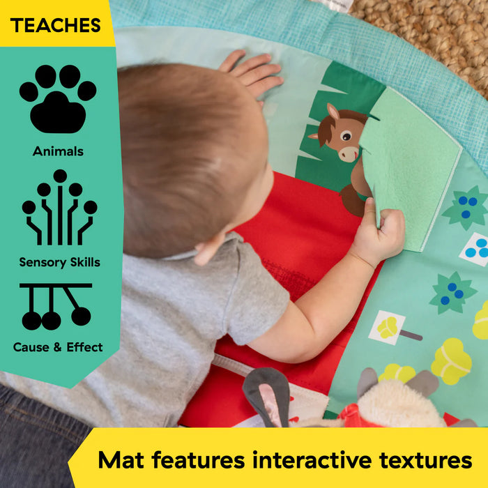 BABY EINSTEIN Zen's Activity Milestones tapis d'éveil avec barre en b BABY EINSTEIN Zen's Activity Milestones tapis d'éveil avec barre en b