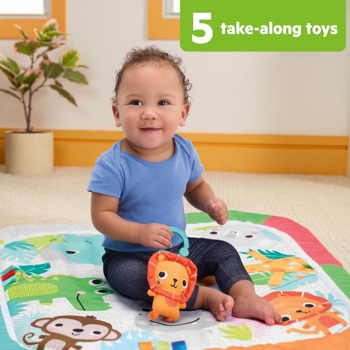 Bright Starts Wild Wiggles Jungle Jubilee FoldAway Activity Gym