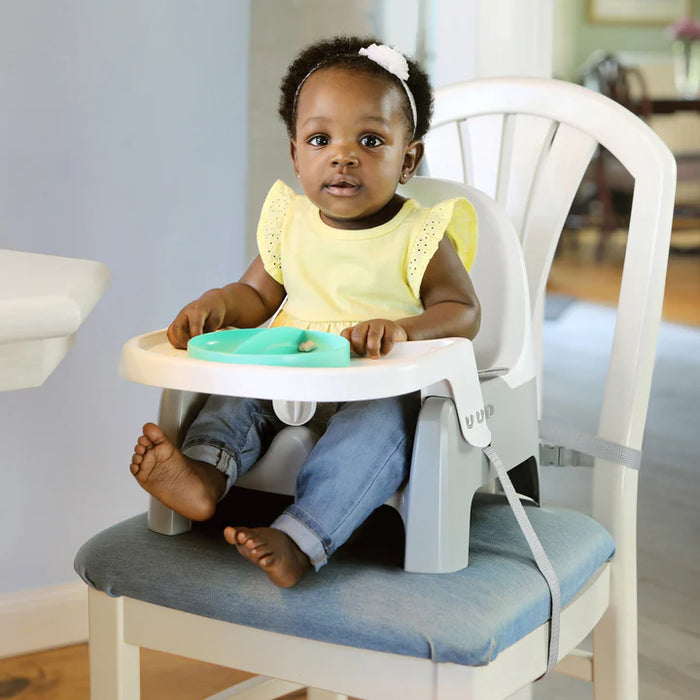 Ingenuity Deluxe Learn-to-Dine-Feeding-Seat