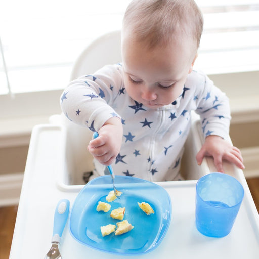 Dr. Brown’s™ Toddler Plates (3-Pack) - Preggy Plus