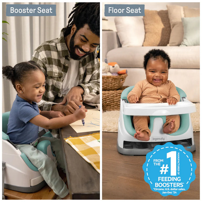 Ingenuity Baby Base 2-in-1™ Seat - Mist