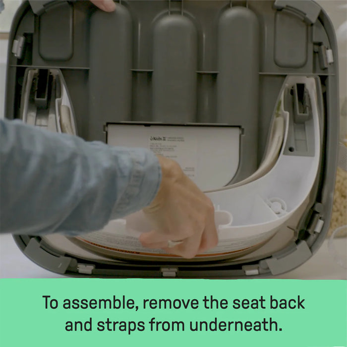 Ingenuity Baby Base 2-in-1™ Seat - Mist