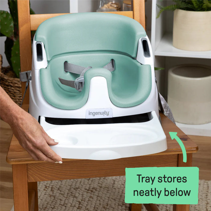 Ingenuity Baby Base 2-in-1™ Seat - Mist