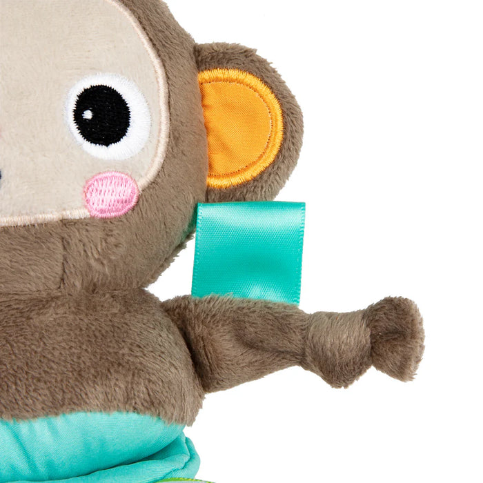 Bright Starts Pull, Play & Boogie Musical Activity Toy - Monkey - Preggy Plus