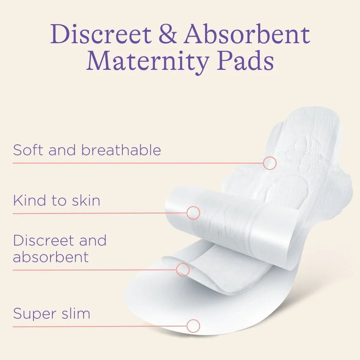 Lansinoh Postpartum Pads Bundle