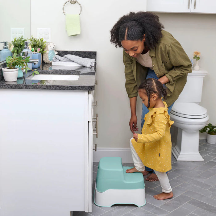 Ingenuity Prepare to Potty 3-in-1 System