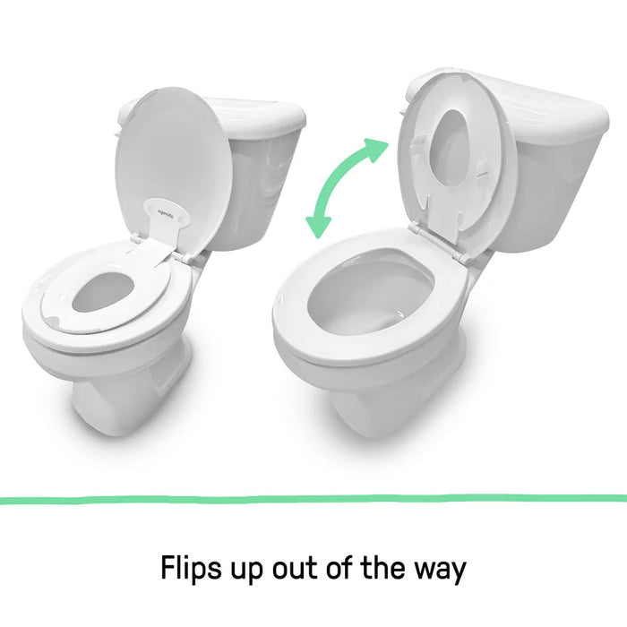 Ingenuity Flip & Sit Potty Seat