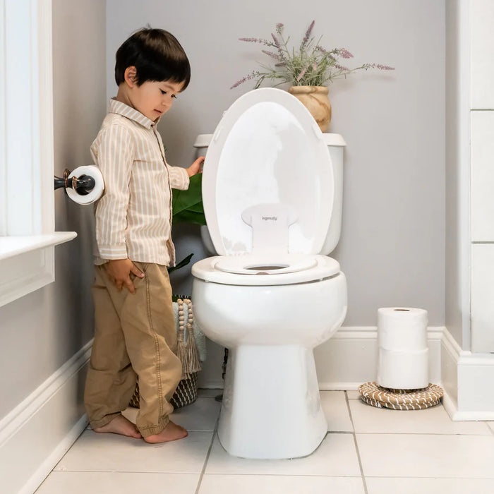 Ingenuity Flip & Sit Potty Seat