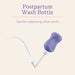 Lansinoh Postpartum Recovery Essentials - Preggy Plus